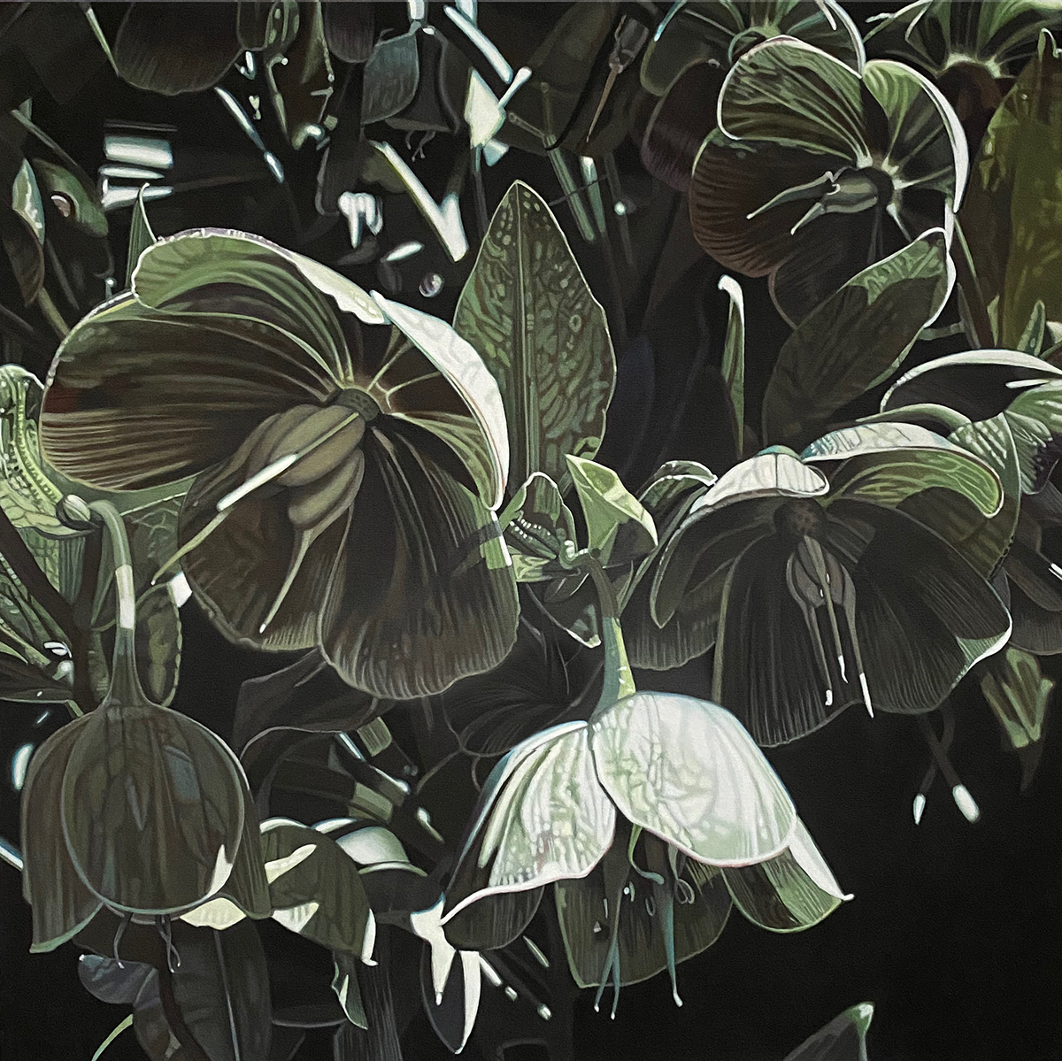 Square Hellebores--painting by LJ Lindhurst