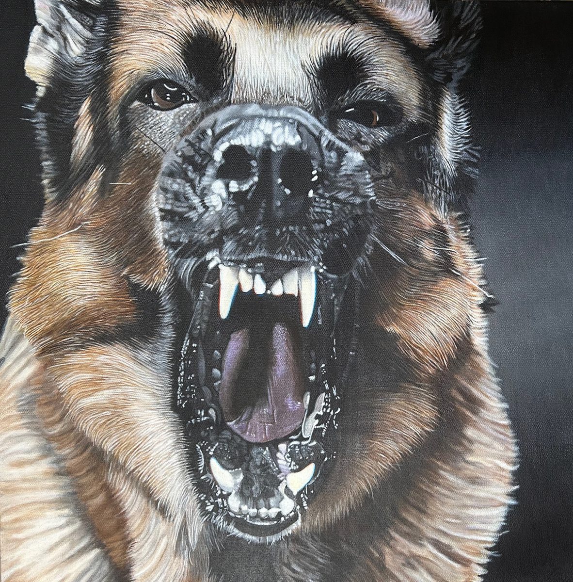 German Shepherd
